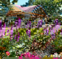 Laurel Bank Park - Yamba Accommodation