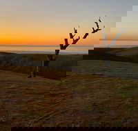 Lessismore Farm Afternoon Farmer - Yamba Accommodation