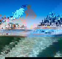 Monkey Mia - Yamba Accommodation