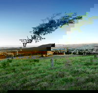 Ravensbourne National Park - Yamba Accommodation