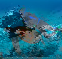 Second Reef Dive Site - Yamba Accommodation