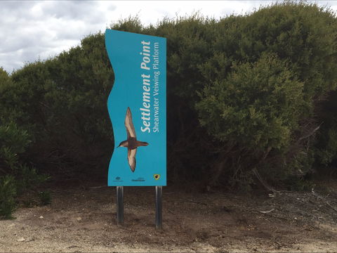Settlement Point Viewing Platform - Yamba Accommodation 2