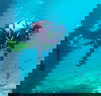 Shellharbour Scuba  and Photography Centre - Yamba Accommodation