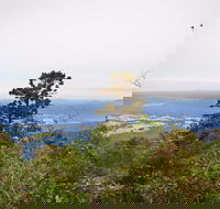 Slingsbys Trail and Syndicate Ridge Track - Yamba Accommodation