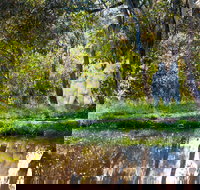 Strathnairn Arts - Yamba Accommodation