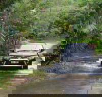The Pioneer Valley and Eungella National Park - Yamba Accommodation