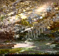 Wendy Whiteley's Secret Garden - Yamba Accommodation