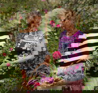 White Cottage - Yamba Accommodation