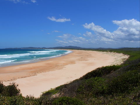 Wilsons Headland - Yamba Accommodation 0