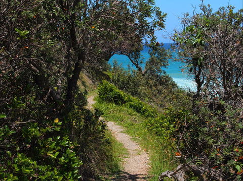 Wilsons Headland - Yamba Accommodation 1