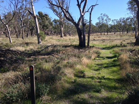 Wyperfeld National Park - Yamba Accommodation 2