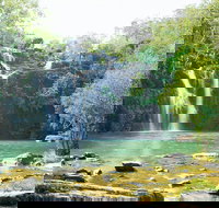 Airlie Beach to Cedar Creek Falls - Yamba Accommodation