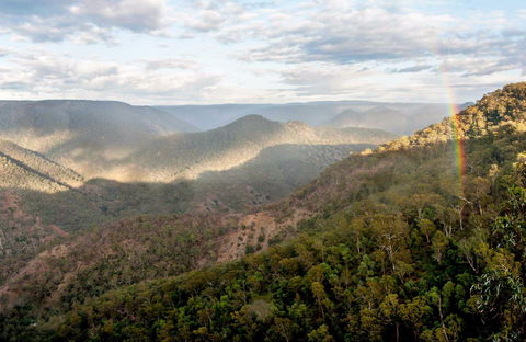 Badgerys Spur Walking Track - Yamba Accommodation 0