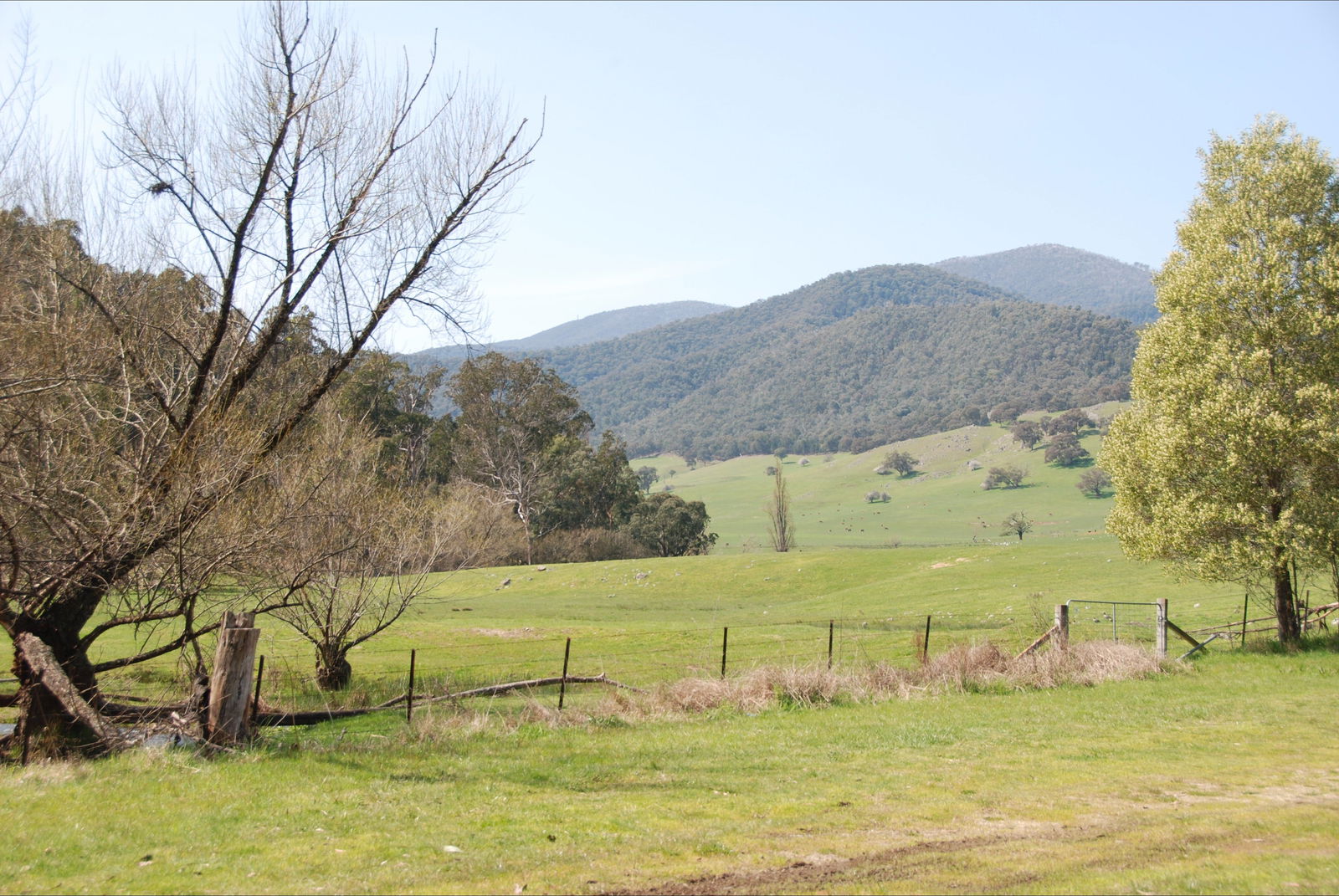 Dartmouth VIC Yamba Accommodation