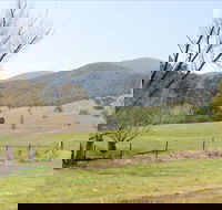 Banimboola Creek Rest Area - Yamba Accommodation