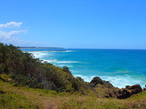 Bare Point - Yamba Accommodation 1