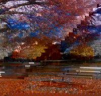 Bells Parade Reserve - Yamba Accommodation