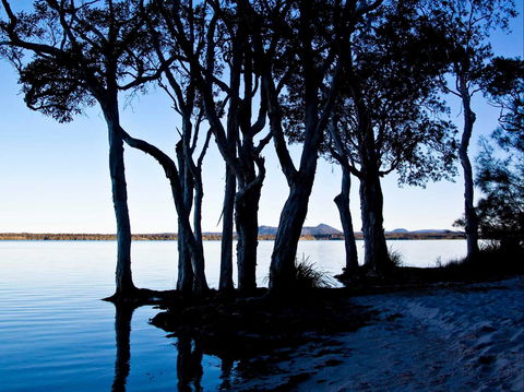 Boreen Point - Yamba Accommodation 0