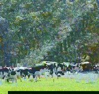 Boyanup - Yamba Accommodation