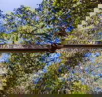 Bribie Island Bicentennial Trails - Yamba Accommodation