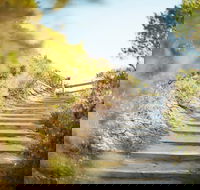 Coppins Walk Track part of The Coastal Walk