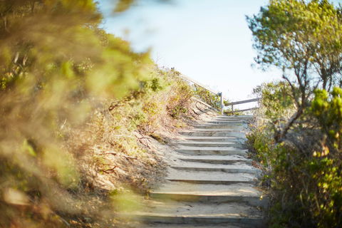 Coppins Walk Track (part Of The Coastal Walk) - Yamba Accommodation 0