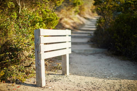 Coppins Walk Track (part Of The Coastal Walk) - Yamba Accommodation 1