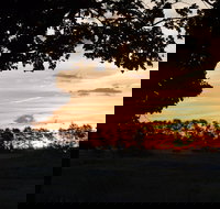 Dangar's Lagoon and Racecourse Lagoon - Yamba Accommodation