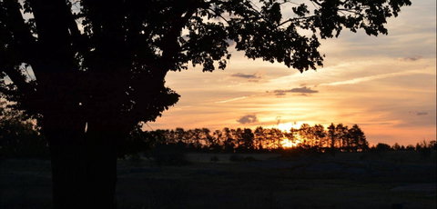 Dangar's Lagoon And Racecourse Lagoon - Yamba Accommodation 0