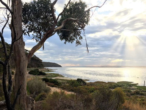 Fish Cannery Walking Trail - Yamba Accommodation 0