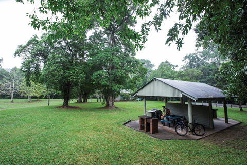 Goldsborough Valley, Wooroonooran National Park - Yamba Accommodation 2