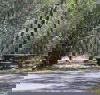 Goonoowigall State Conservation Area - Yamba Accommodation