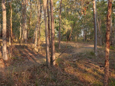 Grande Park - Yamba Accommodation 2
