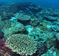 Hanging Rock Dive Site - Yamba Accommodation