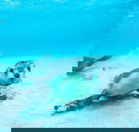 Jurien Bay - Yamba Accommodation