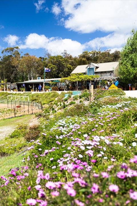 Kate's Berry Farm - Yamba Accommodation 0