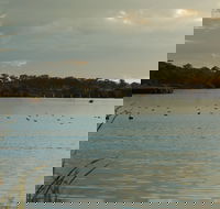 Lake Inverell Reserve - Yamba Accommodation