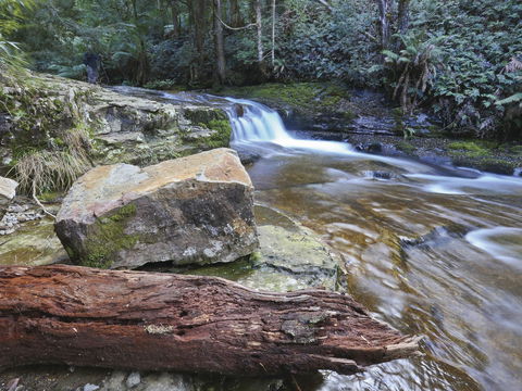 Liffey Falls Reserve - Yamba Accommodation 0