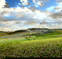 Lions Park Hodgson Vale - Yamba Accommodation
