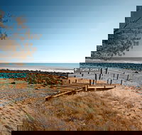 Mon Repos Beach - Yamba Accommodation
