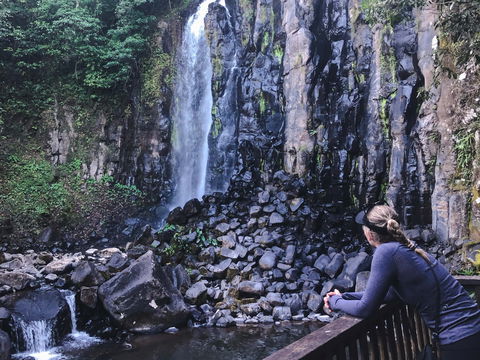 Mungalli Falls - Yamba Accommodation 0