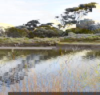 Onkaparinga River Recreation Park - Yamba Accommodation