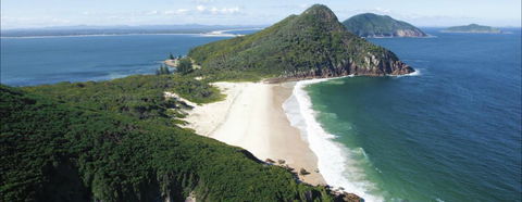 Port Stephens Great Lakes Marine Park - Yamba Accommodation 0