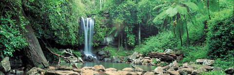 Tamborine National Park - Yamba Accommodation 0