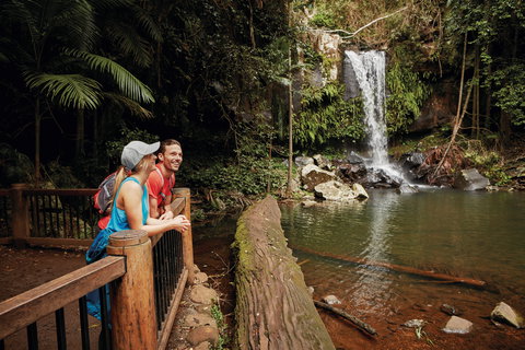Tamborine National Park - Yamba Accommodation 1