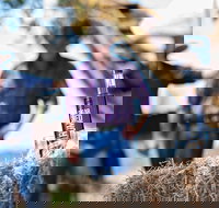 The Sweetest Journey Sugar Trail - Yamba Accommodation