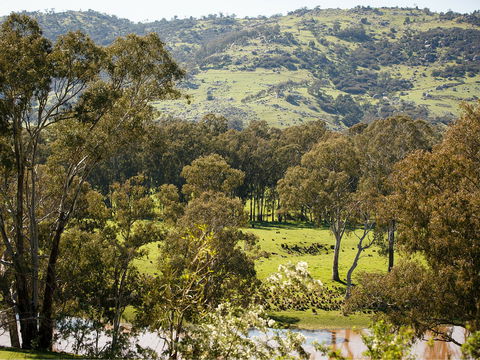 Trawool Valley - Yamba Accommodation 0