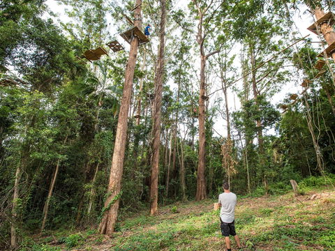 TreeTop Challenge - Sunshine Coast - Yamba Accommodation 1