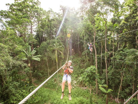 TreeTop Challenge - Sunshine Coast - Yamba Accommodation 2