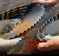 Tuena Panning for Gold - Yamba Accommodation